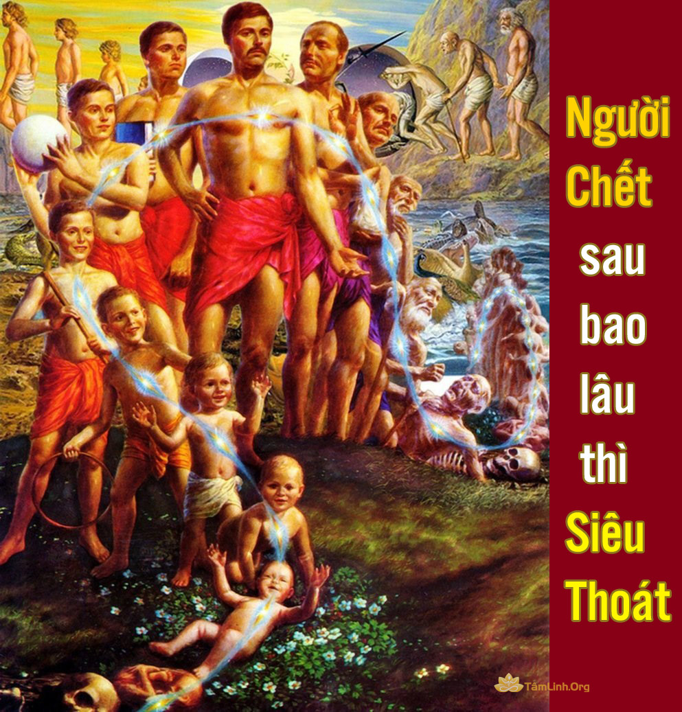 nguoi chet sau bao lau sieu thoat, luan hoi chuyen kiep