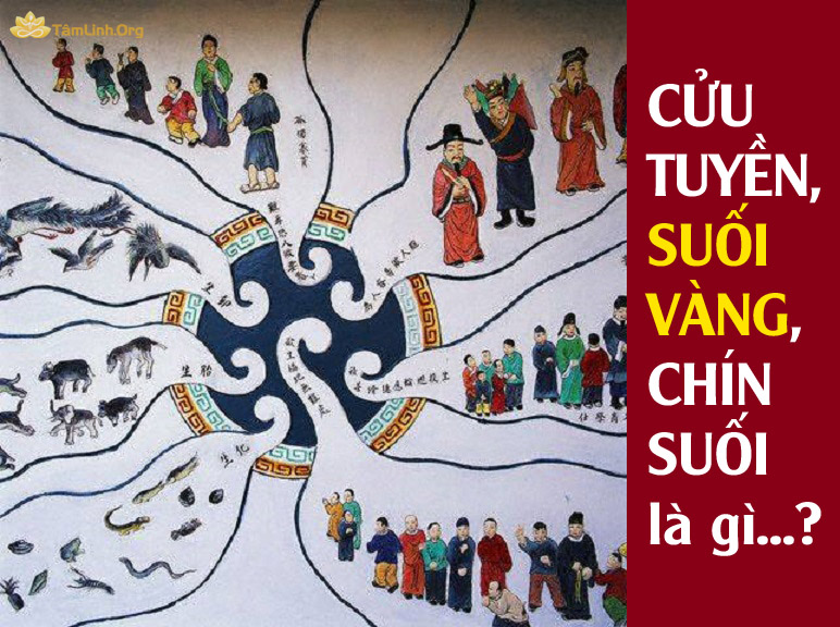 cuu tuyen, chin suoi, suoi vang, luan hoi