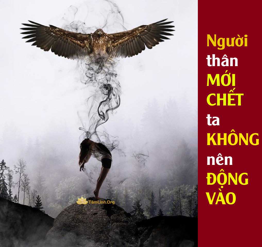 khong dong vao nguoi moi chet, dam ma, kham liem