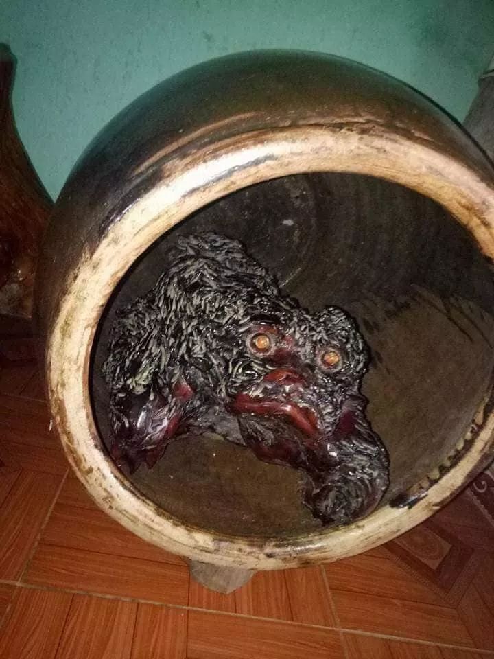 ma ga dan toc