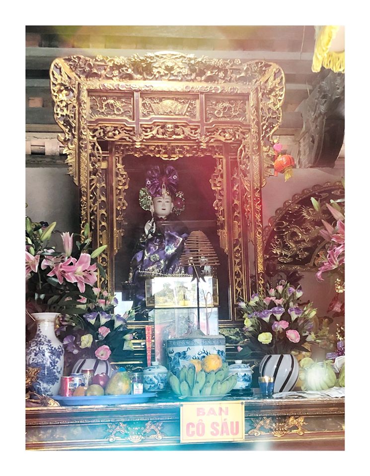 co sau son trang, co sau luc cung