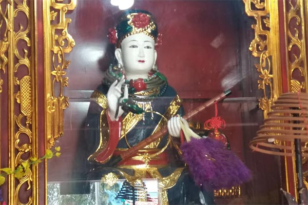 co sau lluc cung, co sau son trang