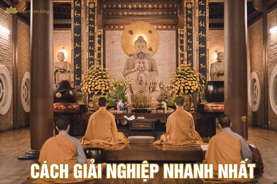 cach giai nghep nhanh nhat, nhan qua bao ung