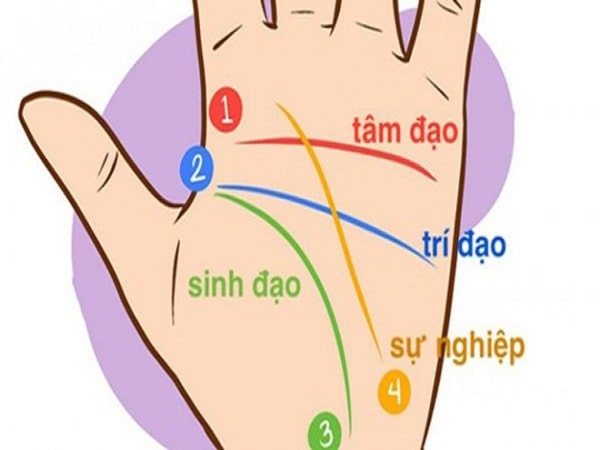 3 duong chi tay co ban, xem boi chi tay