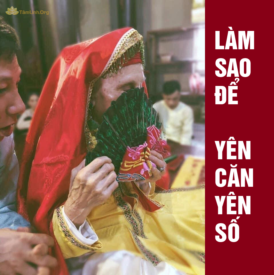 Yen can yen so, thanh dong, hau dong, trinh dong mo phu 