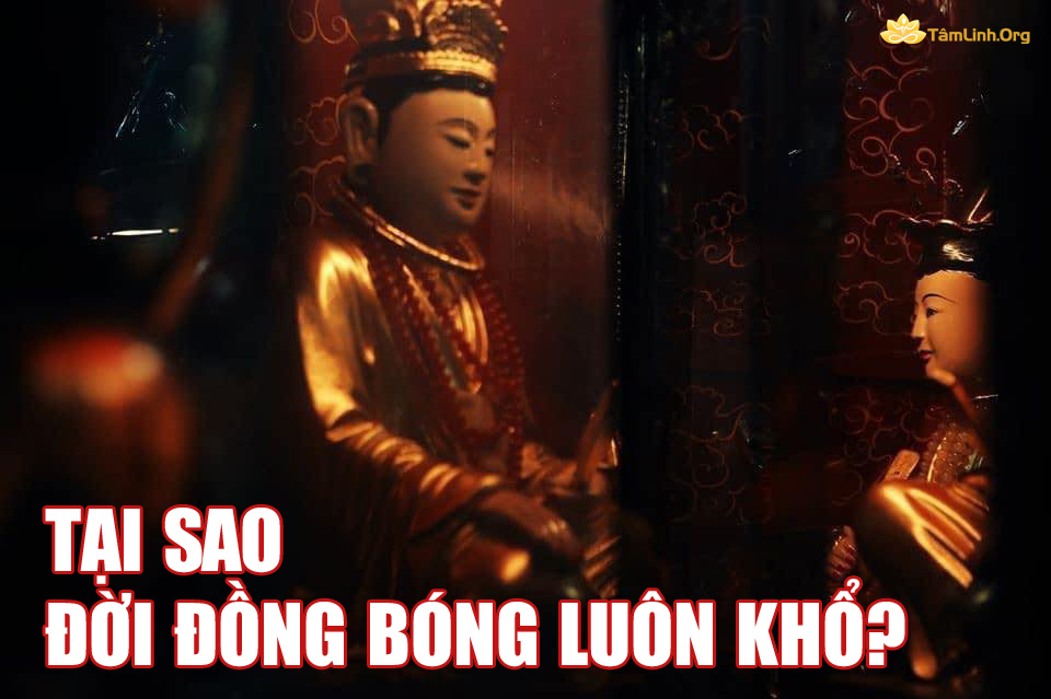 dong bong luon kho, mau lieu hanh