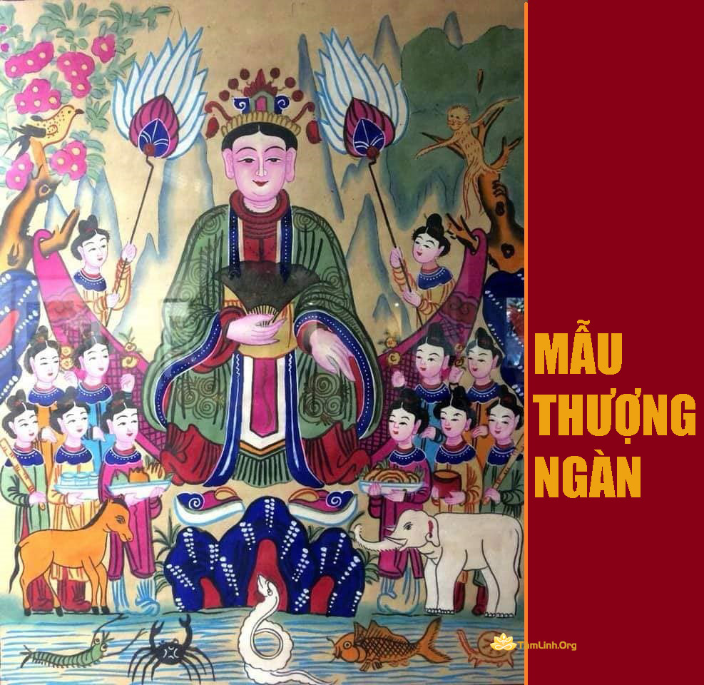 tien co hau can mau thuong ngan