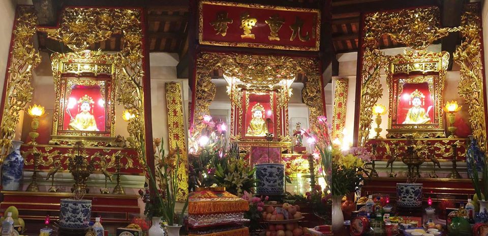 tam toa thanh mau, hau dong, dao mau viet nam