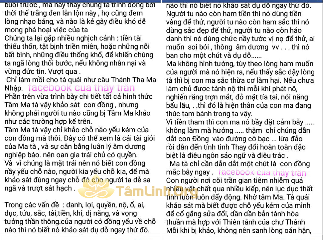 3 nam thu linh, 9 nam thu dong, hau dong, can so