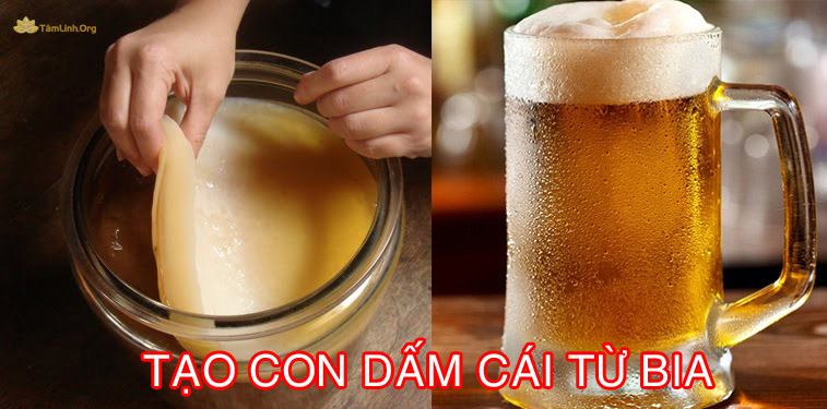tao con giam tu bia don gian