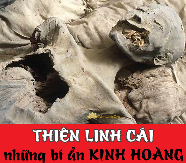 cac cap do luyen bua thien linh cai