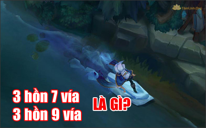 3 hon 7 via, 3 hon 9 via la gi