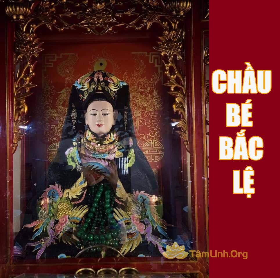 chau be bac le