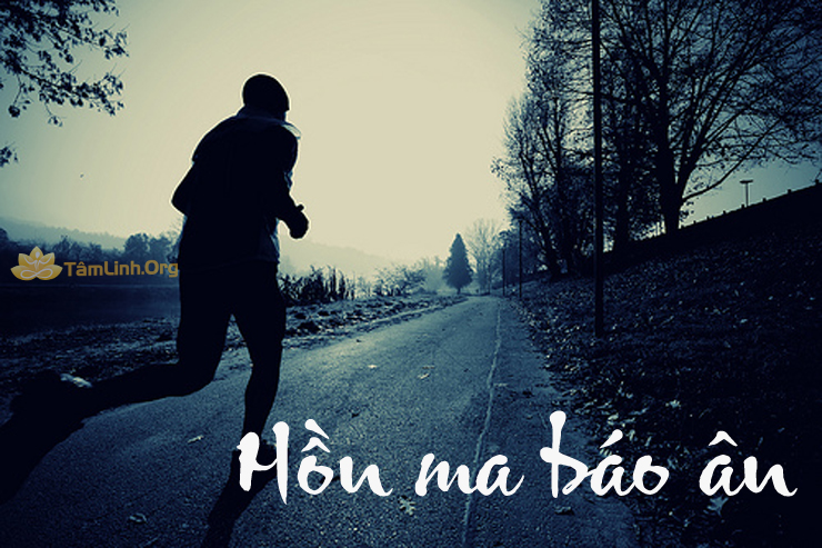 hon ma bao an, truyen ma co that