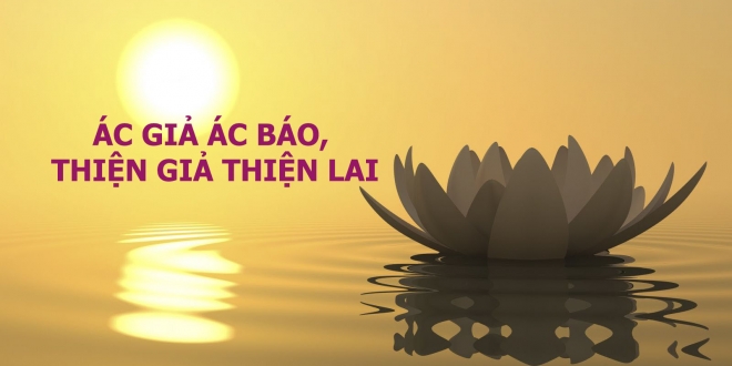 nhan qua bao ung