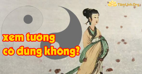 xem tuong co dung khong, xem boi